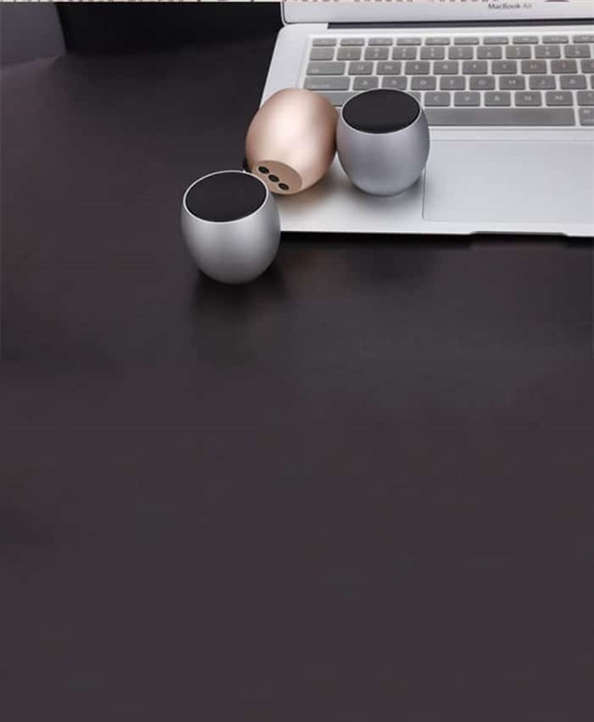 Custom Egg Speaker Case Study Singapore